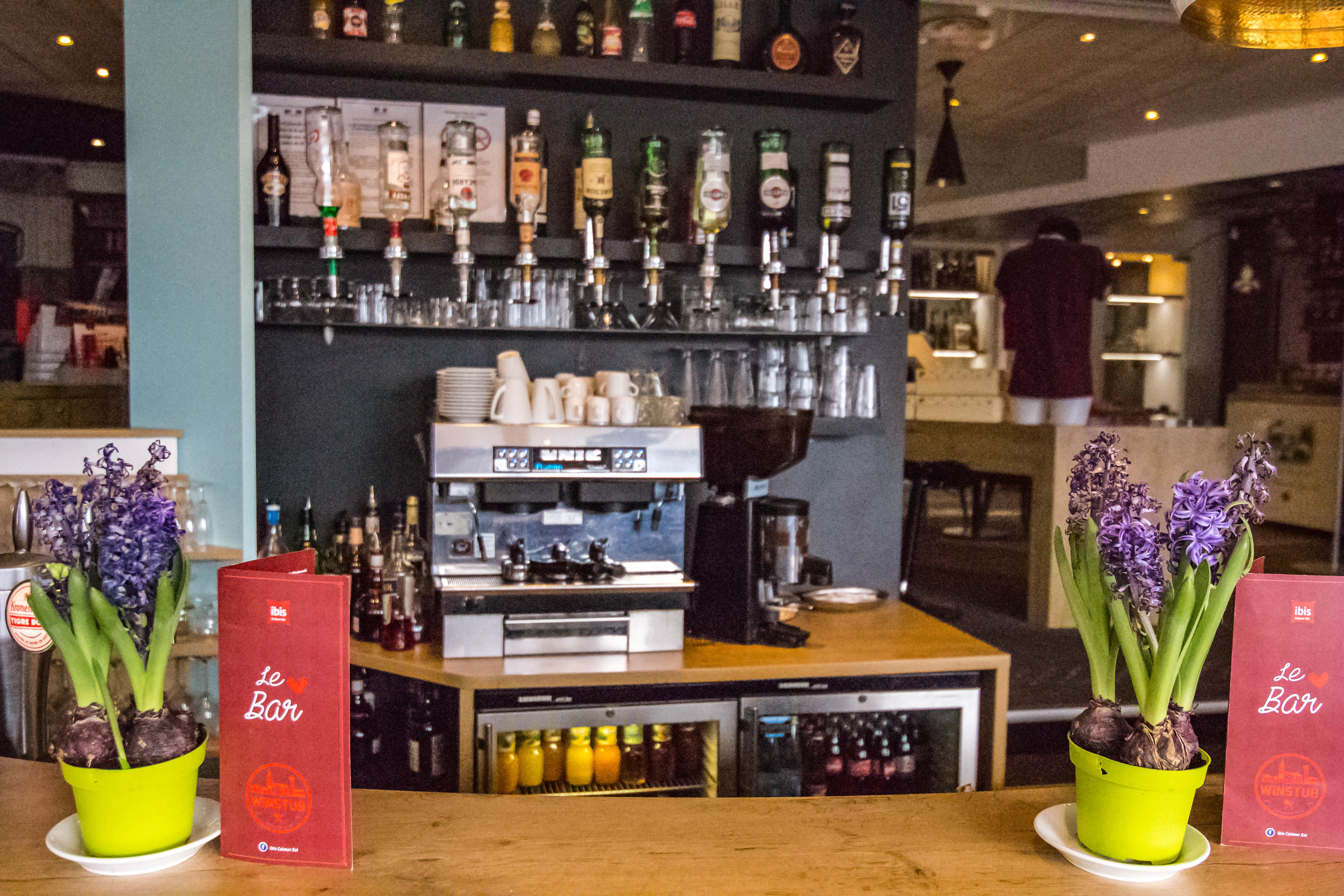 Ibis Colmar Est - Hotel Restaurant En Alsace Horbourg-Wihr Bagian luar foto