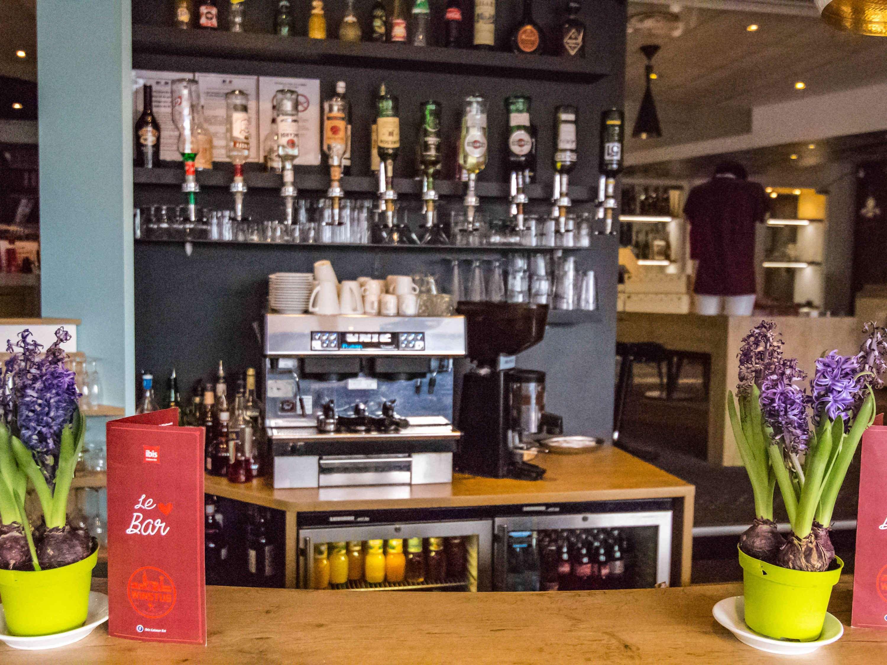 Ibis Colmar Est - Hotel Restaurant En Alsace Horbourg-Wihr Bagian luar foto